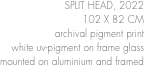 SPLIT HEAD, 2022
102 X 82 CM 
archival pigment print
white uv-pigment on frame glass 
mounted on aluminium and framed
