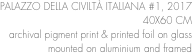 PALAZZO DELLA CIVILTÀ ITALIANA #1, 2017 40X60 CMarchival pigment print & printed foil on glass
mounted on aluminium and framed