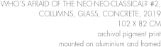WHO’S AFRAID OF THE NEO-NEO-CLASSICAL? #2,
COLUMNS, GLASS, CONCRETE, 2019
102 X 82 CM 
archival pigment print 
mounted on aluminium and framed